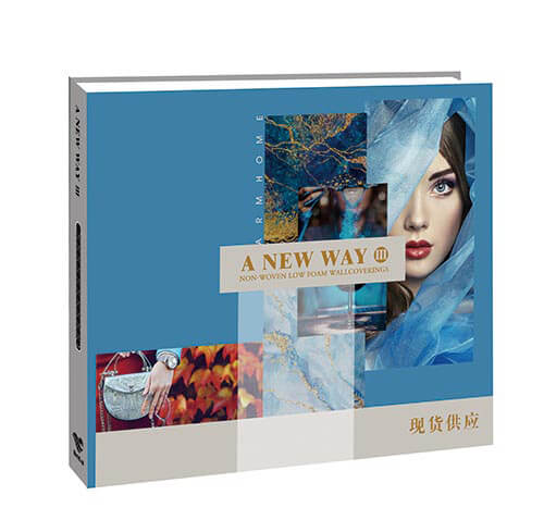 新途三--黑人探花在线观看布系列