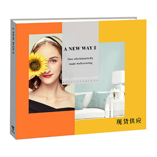 新途二--黑人探花在线观看布系列